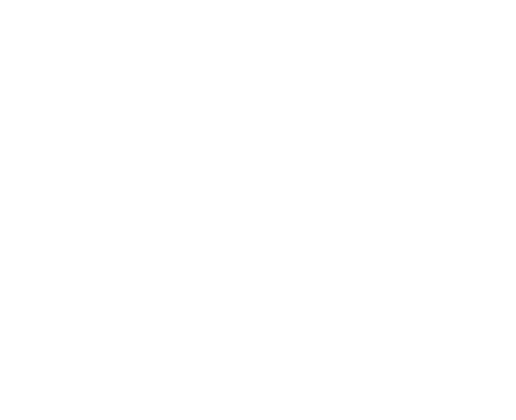 Workhorse